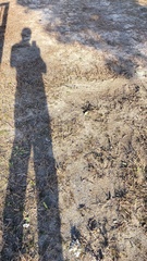 IMG20231122151701.jpg