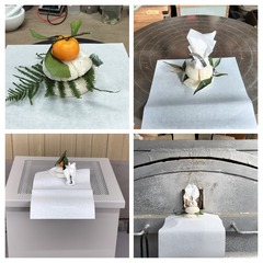 IMG20231228155947-COLLAGE.jpg