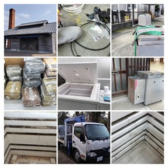 IMG20240211115248-COLLAGE.jpg