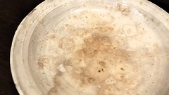 IMG20250313074137.jpg