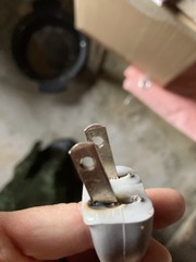 IMG_2595.jpeg