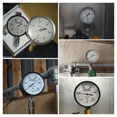 RIMG0869-COLLAGE.jpg